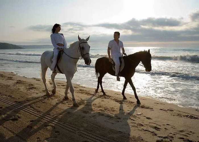 Magnolia Holiday park