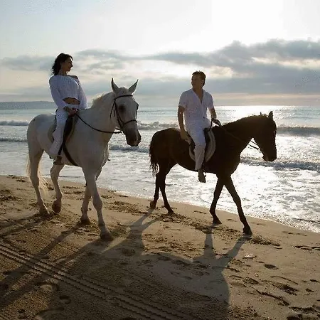 Magnolia منتزه العطل